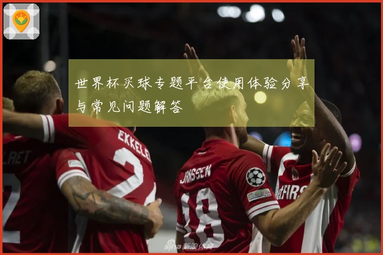 世界杯买球专题平台使用体验分享与常见问题解答