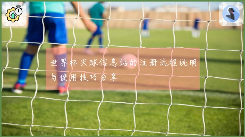 世界杯买球信息站的注册流程说明与使用技巧分享