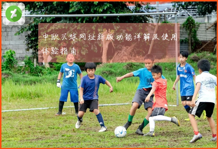 中欧买球网址新版功能详解及使用体验指南