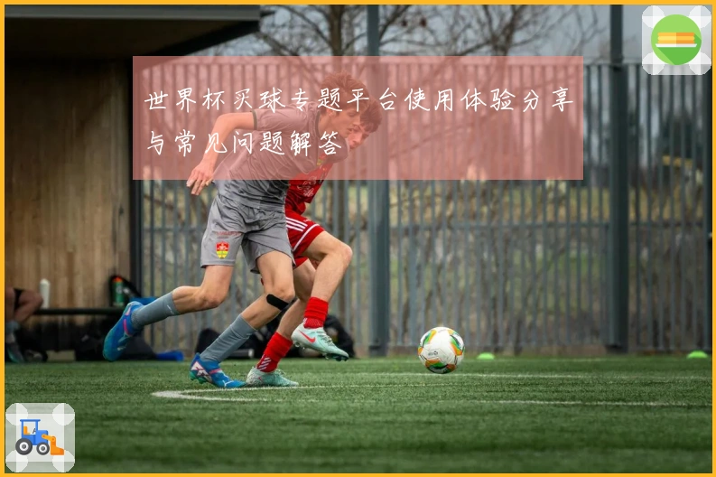 世界杯买球专题平台使用体验分享与常见问题解答