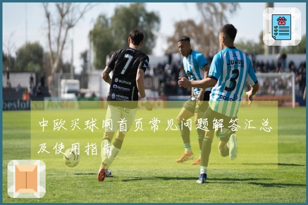 中欧买球网首页常见问题解答汇总及使用指南