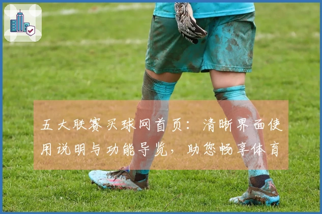 五大联赛买球网首页：清晰界面使用说明与功能导览，助您畅享体育直播体验
