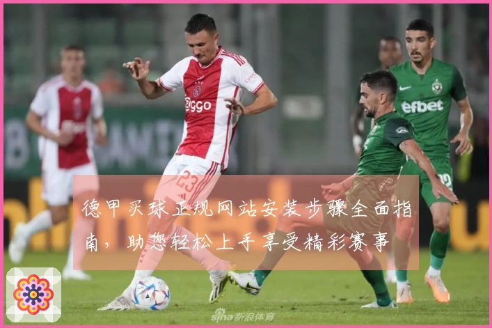 德甲买球正规网站安装步骤全面指南，助您轻松上手享受精彩赛事