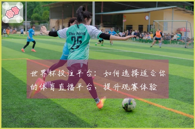世界杯投注平台：如何选择适合你的体育直播平台，提升观赛体验