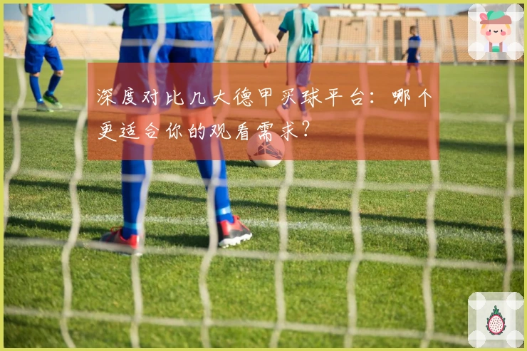 深度对比几大德甲买球平台：哪个更适合你的观看需求？