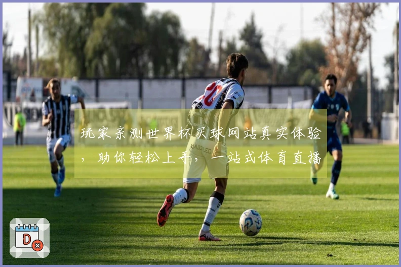 玩家亲测世界杯买球网站真实体验，助你轻松上手，一站式体育直播精彩！