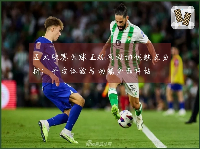 五大联赛买球正规网站的优缺点分析：平台体验与功能全面评估