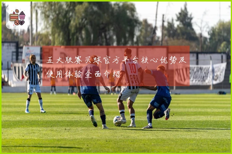 五大联赛买球官方平台核心优势及使用体验全面介绍