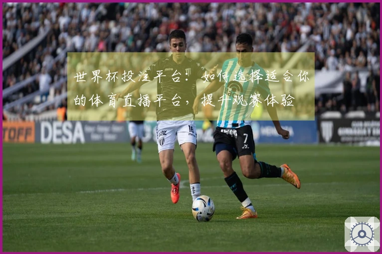 世界杯投注平台：如何选择适合你的体育直播平台，提升观赛体验